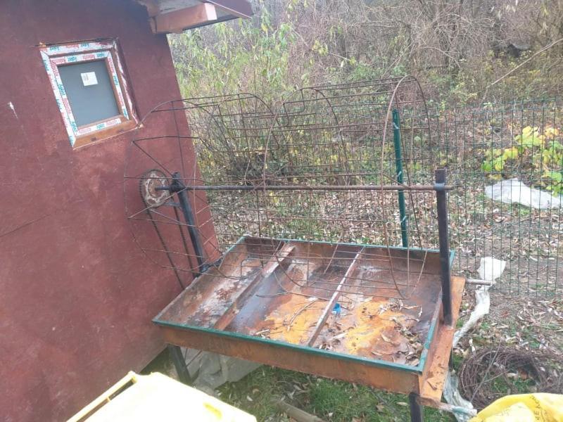 Popasul Dacilor Vila Predelut Exterior foto